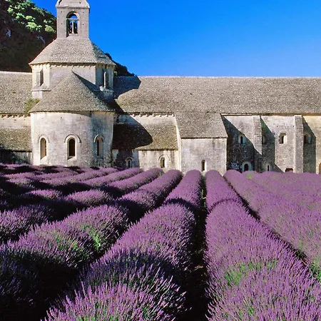 Luxury In Provence With A Private Pool
